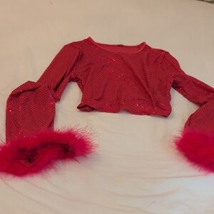 Hot Pink Sequin Crop Top with Feathered Sleeves